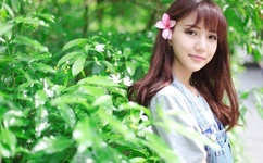 chinese人妖tscd系列